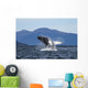 Humpback Whale Breaches as Wall Decal 1