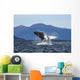 Humpback Whale Breaches as Wall Decal 1