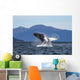 Humpback Whale Breaches as Wall Decal 1