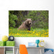 A Brown Bear Forages On Dandelions Wall Mural