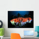 Rainbow Wall Mural