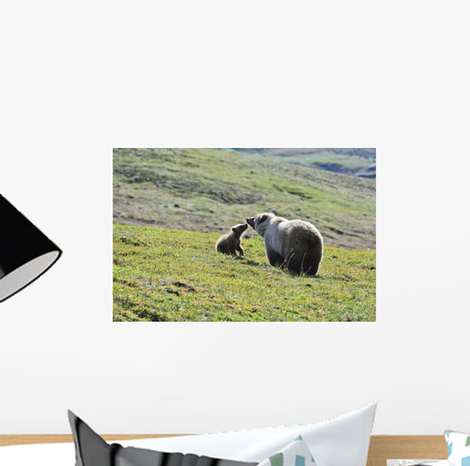 Grizzly Bear Sow And Cub On Tundra Hillside At Stony Hill Wall Mural