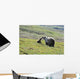 Grizzly Bear Sow And Cub On Tundra Hillside At Stony Hill Wall Mural