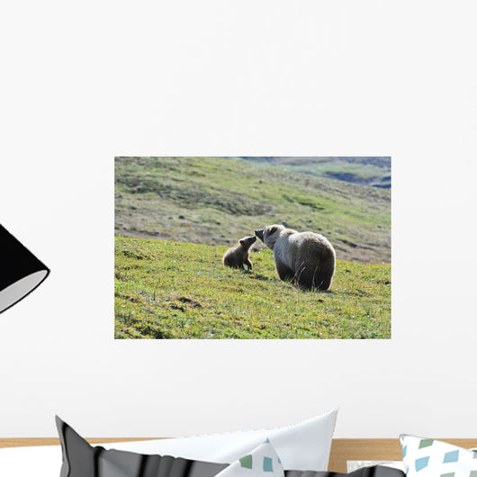 Grizzly Bear Sow And Cub On Tundra Hillside At Stony Hill Wall Mural