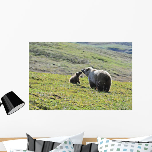 Grizzly Bear Sow And Cub On Tundra Hillside At Stony Hill Wall Mural