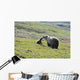 Grizzly Bear Sow And Cub On Tundra Hillside At Stony Hill Wall Mural