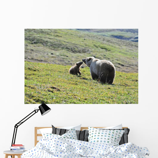 Grizzly Bear Sow And Cub On Tundra Hillside At Stony Hill Wall Mural