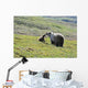 Grizzly Bear Sow And Cub On Tundra Hillside At Stony Hill Wall Mural