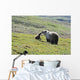 Grizzly Bear Sow And Cub On Tundra Hillside At Stony Hill Wall Mural