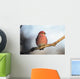 Adult Male Pine Grosbeak Sits On Branch In Anchorage, Alaska, Fall Wall Mural