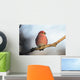 Adult Male Pine Grosbeak Sits On Branch In Anchorage, Alaska, Fall Wall Mural