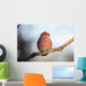 Adult Male Pine Grosbeak Sits On Branch In Anchorage, Alaska, Fall Wall Mural