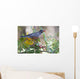 American Robin With Mountain Ash Berry In Beak Wall Mural
