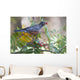 American Robin With Mountain Ash Berry In Beak Wall Mural