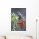 Townsend's Solitaire With Mountain Ash Berry In Beak Perched On Branch Wall Mural