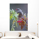 Townsend's Solitaire With Mountain Ash Berry In Beak Perched On Branch Wall Mural