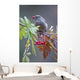 Townsend's Solitaire With Mountain Ash Berry In Beak Perched On Branch Wall Mural