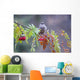 Townsend's Solitaire Perched Above Clump Of Berries Wall Mural
