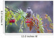 Townsend's Solitaire Perched Above Clump Of Berries Wall Mural
