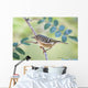 Ruby-Crowned Kinglet Perched On Mountain Ash Branch Wall Mural