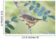 Ruby-Crowned Kinglet Perched On Mountain Ash Branch Wall Mural