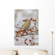 Close Up Of A Bohemian Waxwing With Mountain Ash Berry Wall Mural