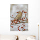 Close Up Of A Bohemian Waxwing With Mountain Ash Berry Wall Mural