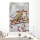 Close Up Of A Bohemian Waxwing With Mountain Ash Berry Wall Mural