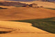 Tuscan Countryside Wall Decal