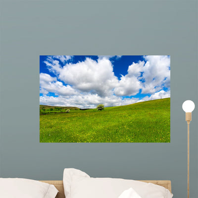 Field Grass and Cloudy shown on a wall