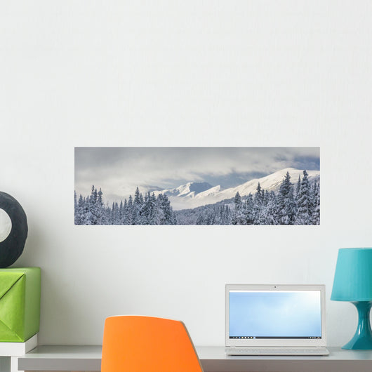 Clouds Clearing after Storm Wall Decal