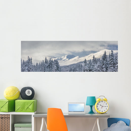 Clouds Clearing after Storm Wall Decal
