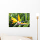 Tropical Bird of Paradise flower in full bloom Oahu, Hawaii Wall Mural