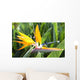Tropical Bird of Paradise flower in full bloom Oahu, Hawaii Wall Mural