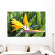 Tropical Bird of Paradise flower in full bloom Oahu, Hawaii Wall Mural