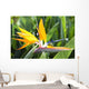 Tropical Bird of Paradise flower in full bloom Oahu, Hawaii Wall Mural