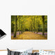 Couple Walking Along Avenue Of Beech Trees Wall Mural