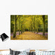 Couple Walking Along Avenue Of Beech Trees Wall Mural