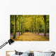 Couple Walking Along Avenue Of Beech Trees Wall Mural
