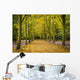 Couple Walking Along Avenue Of Beech Trees Wall Mural