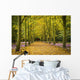 Couple Walking Along Avenue Of Beech Trees Wall Mural