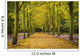 Couple Walking Along Avenue Of Beech Trees Wall Mural