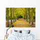 Cyclamen Flowers In Bloom Beside Avenue Of Beech Trees Wall Mural