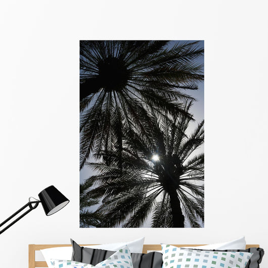 Silhouette Of Date Palm Trees In Oasis Wall Mural
