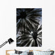 Silhouette Of Date Palm Trees In Oasis Wall Mural