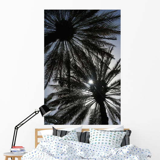 Silhouette Of Date Palm Trees In Oasis Wall Mural