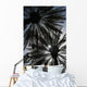 Silhouette Of Date Palm Trees In Oasis Wall Mural
