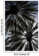 Silhouette Of Date Palm Trees In Oasis Wall Mural