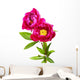garden peony flowers Wall Decal
