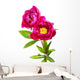 garden peony flowers Wall Decal